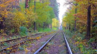 The route of Kyiv public tram network stretches along the deep woodland of old neighborhood and popular climate and spa resort of Pushcha-Vodytsia, this place is especially beautiful in autumn, Ukraine