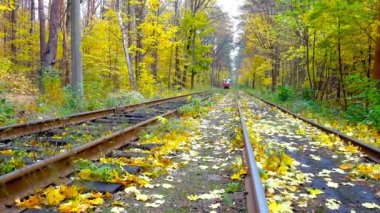 The vintage red tram rides along the autumn forest of Pushcha-Vodytsia spa resort, located in historic neighborhood of Kyiv, Ukraine.