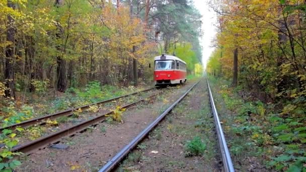乌克兰 2018年10月21日 慢骑复古红色电车在森林走廊普夏 Voditsa 温泉度假胜地和老街区 在10月21日在基辅 — 图库视频影像