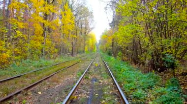 The pleasant autumn day in Pushcha-Vodytsia spa resort and historic neighborhood, the yellow leaves are falling down to the rails of city tram net, stretching through the woodland, Kyiv, Ukraine.