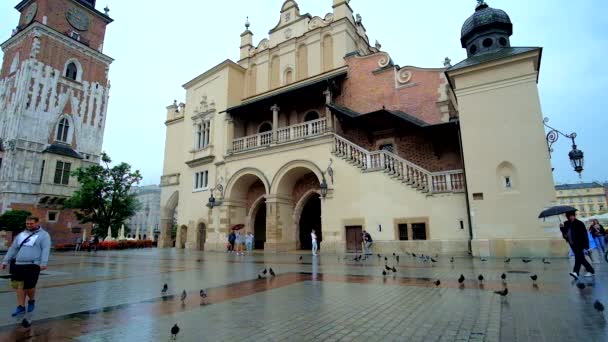 Krakow Polonia Junio 2018 Centro Ciudad Lluviosa Con Bandada Palomas — Vídeos de Stock