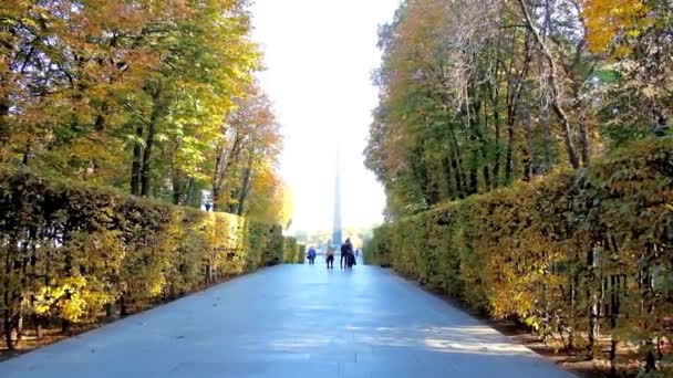 Κίεβο Ουκρανία Οκτωβρίου 2018 Alley Φθινόπωρο Πάρκο Της Αιώνιας Δόξας — Αρχείο Βίντεο