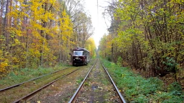 Kiev Oekraïne Oktober 2018 Tram Route Strekt Zich Uit Langs — Stockvideo