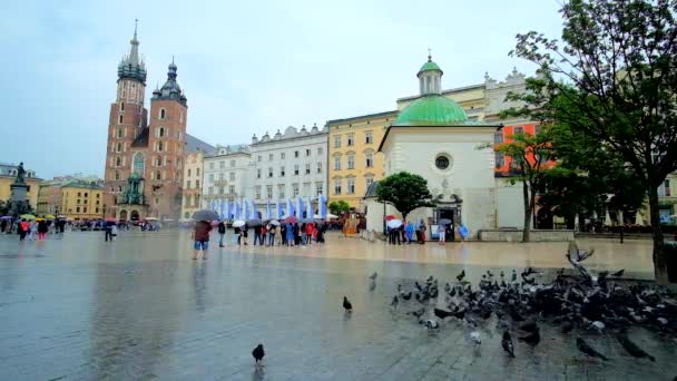 クラクフ ポーランド 2018 雨メイン マーケット広場聖メアリー教会 聖アダルベルト教会 古い建造物と 日にクラクフで ハトの群れの景色を — ストック動画