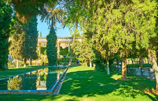Tiszta Felület Kút Tükrözi Zöld Tuják Mussala Gardens Siráz Irán — Stock Fotó