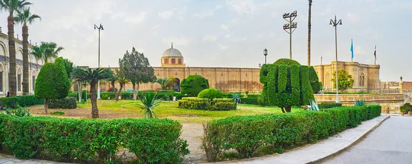 Panorama Jardin Ornemental Face Mosquée Albâtre Avec Des Buissons Taillés — Photo