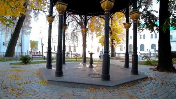 Pigeons Drink Water Fountain Vintage Pavilion Garden Kiev Pechersk Lavra — Stock Video