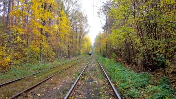 乌克兰基辅 2018年10月21日 普什查 沃迪察温泉度假村是当地人中最受欢迎的娱乐区 10月21日在基辅有几条电车线路 — 图库视频影像