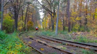  KYIV, UKRAINE - OCTOBER 21, 2018: The slow  red tram rides along the autumn woodland of Pushcha-Vodytsia spa resort, on October 21 in Kyiv.