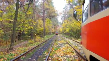  KYIV, UKRAINE - OCTOBER 21, 2018: The retro red tram in scenic autumn forest of Pushcha-Vodytsia climate resort, located in city district of Obolon, on October 21 in Kyiv.