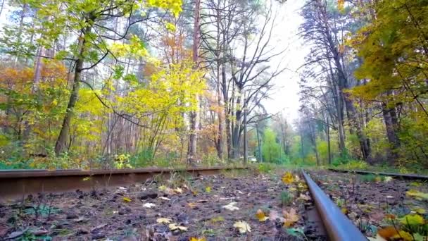 キエフ ウクライナ 2018 訪問の森 Voditsa 気候リゾートは ビンテージの路面電車 キエフで 日秋の森で乗馬をお楽しみください — ストック動画