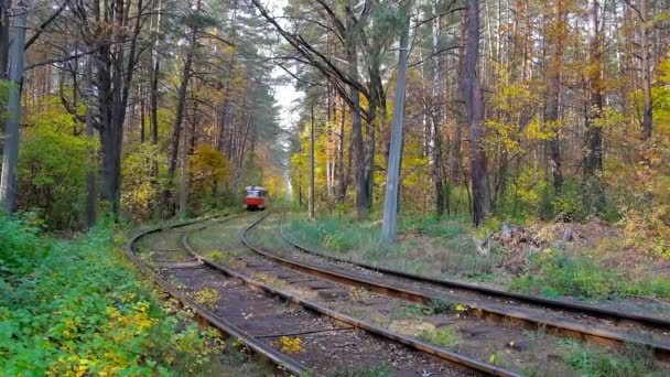 Kiev Ucrania Octubre 2018 Los Lentos Paseos Tranvía Rojo Largo — Vídeos de Stock