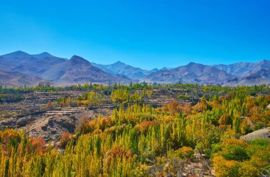 Abyaneh, Iran yanındaki Karkas dağlarda Vadisi'nin kayalık topraklarında yeşil ağaçlar.