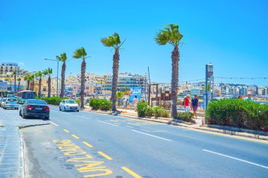 Bugibba, Malta - 14 Haziran 2018: Uzun boylu plam ağaç ve yemyeşil çalı, Haziran 14, Bugibba coast St Paul's Bay, uzanan sıra ile adacık mesire otobüs durağı.