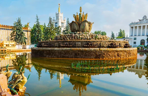 Moscú Rusia Junio 2013 Fuente Flores Piedra Ornamentada Con Reflexión — Foto de Stock