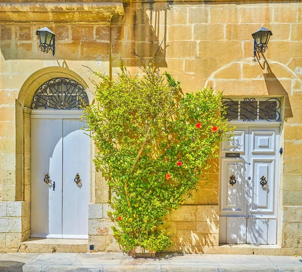 Portas Entrada Brancas Casas Residenciais Cidade Mosta Malta — Fotografia de Stock