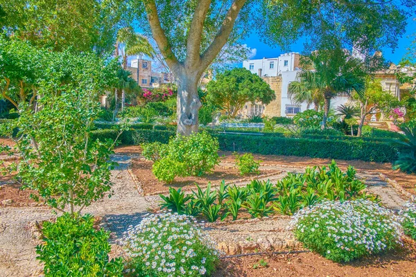 Naxxar Malta Июня 2018 Года Прекрасный Сад Палаццо Парисио Большим — стоковое фото
