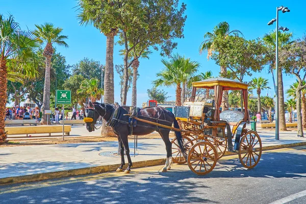 Floriana Malta Června 2018 Maltské Karozzin Kočár Koněm Čeká Turistů — Stock fotografie