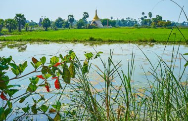 Su deposu ve çeltik-alan altın koni ve çevresinde, Ava (Inwa), Myanmar uzun boylu avuç içi ile doğal stupa bir görünüm ile birlikte yürümek.