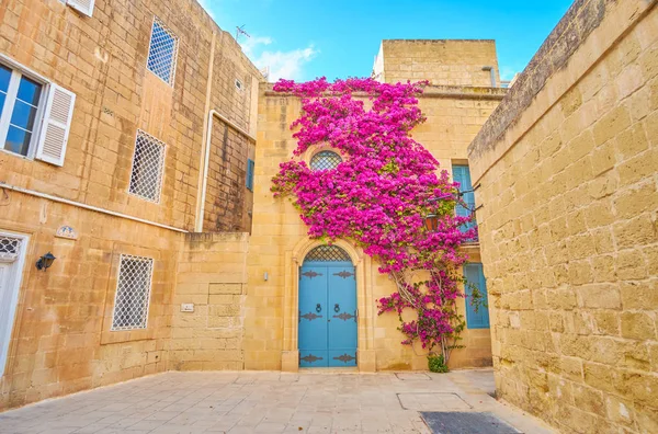 Maison Pierre Avec Buisson Bougainvilliers Grimpants Forteresse Mdina Malte — Photo