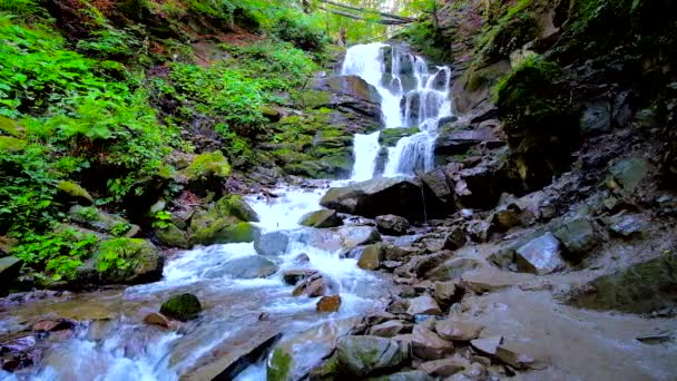 Cold Noisy Waters Shypit Shepit Waterfall Runs Forest Carpathian Mountains — Stock Video