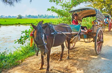 Ava, Myanmar - 21 Şubat 2018: Genç arabacı ahşap onun arabasında oturur ve günü 21 Şubat Ava Inwa, etrafında tur sunar.
