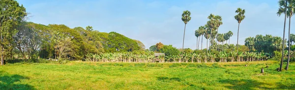 Panorama Del Prado Verde Frente Jardín Plátanos Ava Famosa Ciudad —  Fotos de Stock