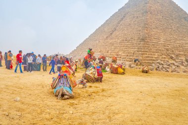 Giza, Mısır - 20 Aralık 2017: Turist Menkaure piramit içinde Giza nekropol yanında grup deve sürme hazırlar, Develer 20 Aralık Giza kum üzerine otur.