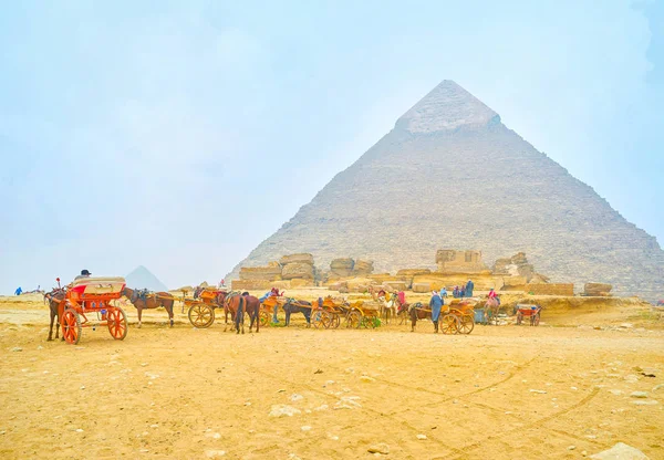 Єгипет Грудня 2017 Коня Звернено Вагонів Стоячи Спеціальних Стоячи Області — стокове фото