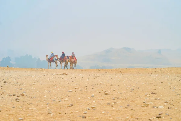 Gíza Egypt Prosince 2017 Malá Skupina Cameleers Hledá Klienty Komplexni — Stock fotografie