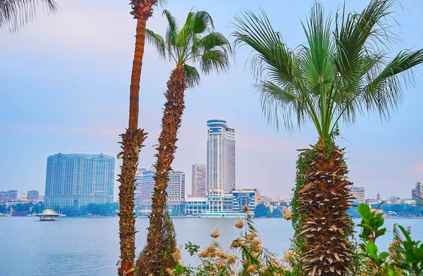 Modern Hotels Business Centers Rhoda Island Palm Trees Giza Riverside — Stock Photo, Image