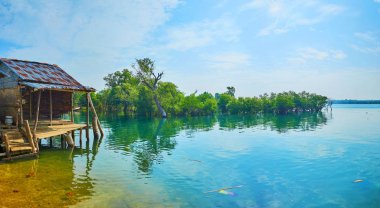 Yerel nehir ve Bengal Körfezi, Myanmar, dere boyunca uzanan Chaung Tha ve çevresi için mangrov ormanları, ünlü.