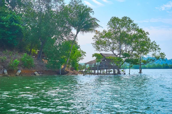 Silueta Colibei Vechi Nipa Picioare Lemn Printre Copacii Mangrove Râul — Fotografie, imagine de stoc