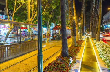 Antalya, Türkiye - 9 Mayıs 2017: Doğal çiçek yatak ve Atatürk Caddesi - 9 Mayıs Antalya alışveriş alanları, ana turistik parlak ışıklı Çeşme.