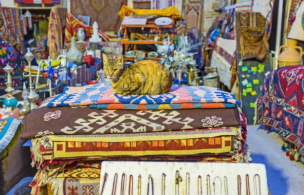 Gato Sienta Alfombras Vintage Feria Antigüedades Aire Libre Distrito Kaleici — Foto de Stock