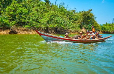 Chaung Tha, Myanmar - 1 Mart 2018: Birmanya çiftçiler büyük domuz tayin mangroves 1 Mart Chaung Tha içinde Kangy Nehri üzerinde eski ahşap tekne ile.