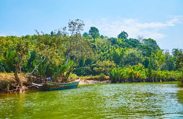 Jungle Luxuriante Avec Palmiers Nipa Mangrove Bord Rivière Kangy Zone — Photo