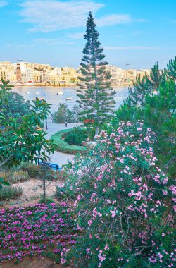 Bağımsızlık bahçesi Sürgünler koyun kıyısında yer alır ve uzun iğne yapraklı ağaçlar, parlak çiçekli rhododendrons ve çiçek yatakları, Sliema, Malta sahiptir.