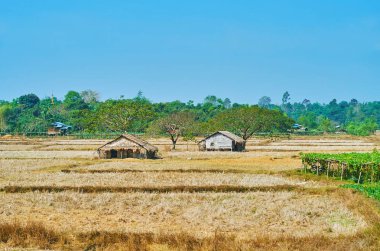 Kuru çayırları, yeşil orman ve küçük nipa kulübelerde düz Bago banliyösünde, Myanmar üzerinde pastoral kırsal manzara.