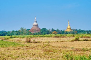 Bago (Pegu) dev pagodadan yeşil orman ve kuru çayırları, Myanmar.