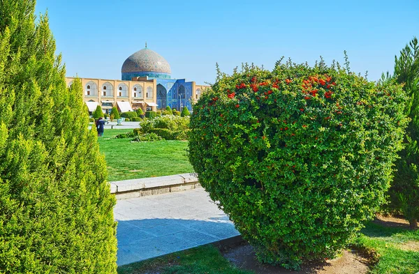 Walk Green Alley Lined Trimmed Trees Bushes Naqsh Jahan Square — Stock Photo, Image
