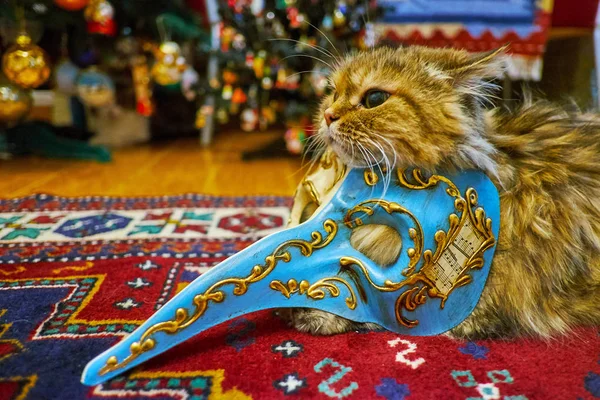 Pussycat Poses Plague Doctor Venice Carnival Mask Decorated Gilt Music — Stock Photo, Image