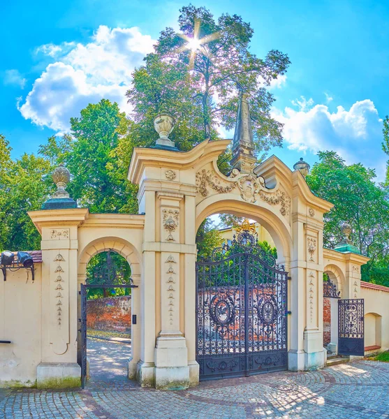 Ворота Церкви Святого Михаила Святого Станислава Металлическими Кружевами Резными Каменными — стоковое фото