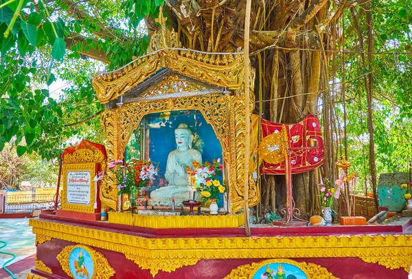 バゴー ミャンマー 2018 シュエ区を築く塔敷地内 日バゴーの Boddhi 神木で仏陀の祭壇 — ストック写真