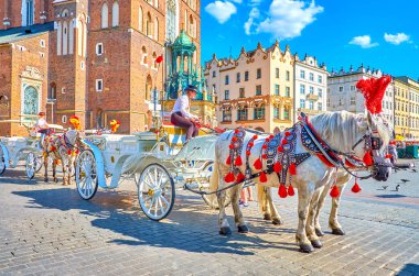 Krakow, Polonya - 21 Haziran 2018: Güzel atlar ve 21 Haziran Krakow dekore edilmiş koşum takımı ile şehir merkezinde çekici turist ulaşım.
