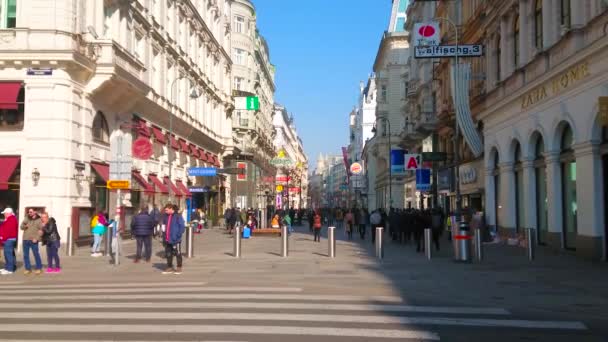 Wien Österreich Februar 2019 Die Geschäftige Karntner Straße Mit Ihren — Stockvideo