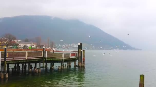 Rebaño Gaviotas Vuela Por Encima Del Lago Traun Traunsee Con — Vídeo de stock