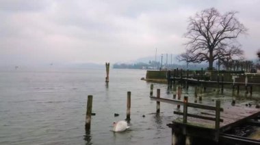 Gmunden sisli kış sabah sakinleştirmek yüzeyi Traun Gölü (Traunsee), manzaralı bir kuğu ve yaban ördeği, yüzen boş Feribot Terminali ve ağır yağmur bulutları, Gmunden, Salzkammergut, Avusturya Alpleri'nde.