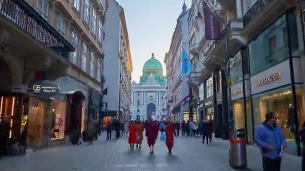 Vienna Áustria Fevereiro 2019 Caminhe Longo Kohlmarkt Uma Das Áreas — Vídeo de Stock