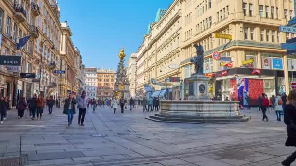 Viena Austria Febrero 2019 Conjunto Arquitectónico Calle Graben Con Fuente — Vídeos de Stock